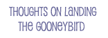 thoughts on landing the gooneybird